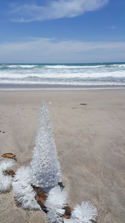 南半球のビーチクリスマスのお祝い の写真素材 画像素材 Image 91730072