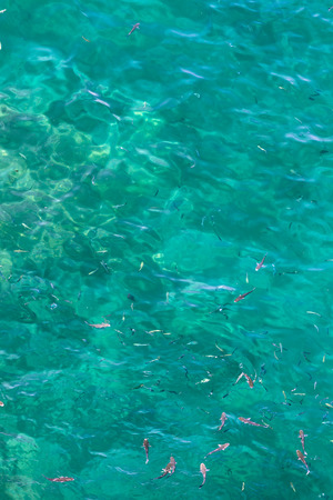 美しい水面に多くの魚 ジブラルタル海峡のアルボラン海の上から見る の写真素材 画像素材 Image