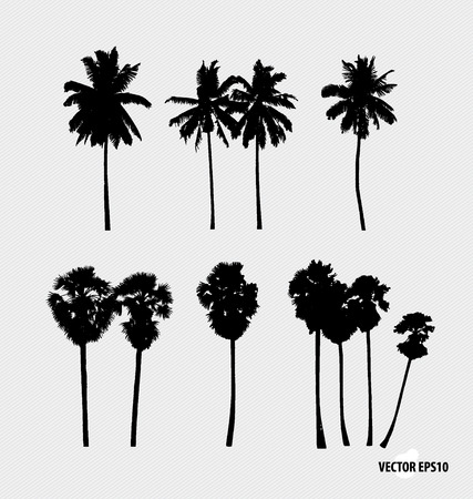 coconut: Thiết lập các bóng cây. Minh hoạ vector.