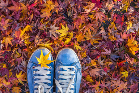 Saison d'automne dans les chaussures de style hipster - 44295286