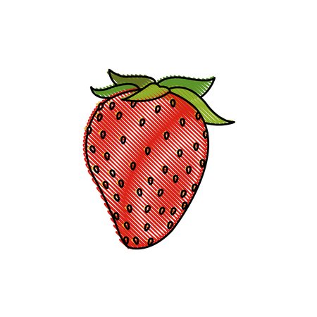 draw strawberry fruit fresh food design vector illustration royalty