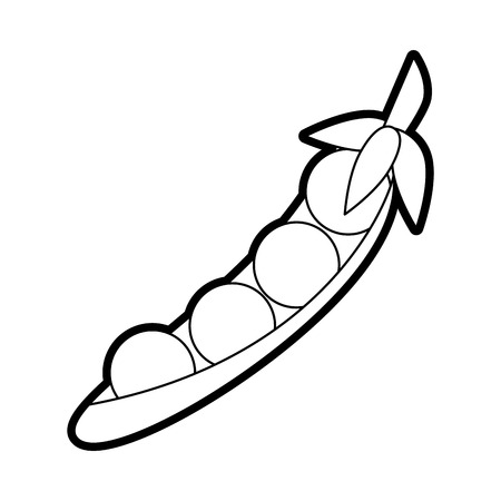 Pea Pod Black White Stock Illustrations, Cliparts and Royalty Free Pea Pod Black  White Vectors