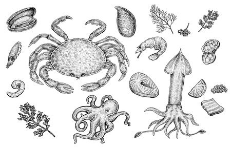 カニ エビ タコのイラスト の写真素材 画像素材 Image カニ エビ タコのイラスト の写真素材 画像素材 Image