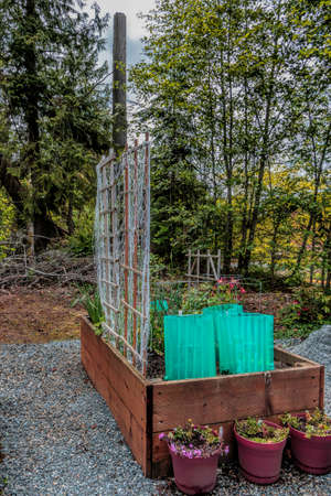 raised gardening beds beside a parking lot showing insect bird