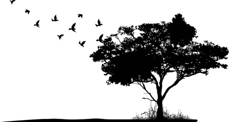 Tree silhouette with birds flying