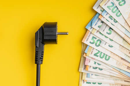 Electric plug and euro money. concept of the increasing electricity prices. top view.