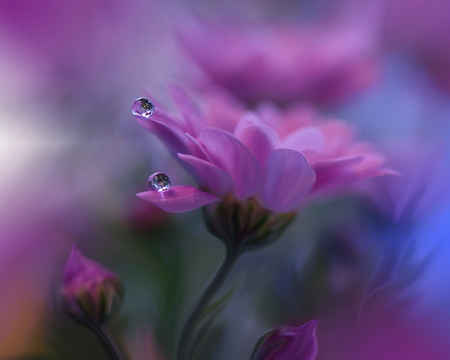 プルメリアは 美しいギターのシックな夢に置きます 朝の光の輝きのオレンジ色の光をカット ボケ背景をぼかしはエンチャントを誘います の写真素材 画像素材 Image プルメリアは 美しいギターのシックな夢に置きます 朝の光の輝きのオレンジ色の光をカット ボケ背景をぼかしはエンチャントを誘います の写真素材 画像素材 Image