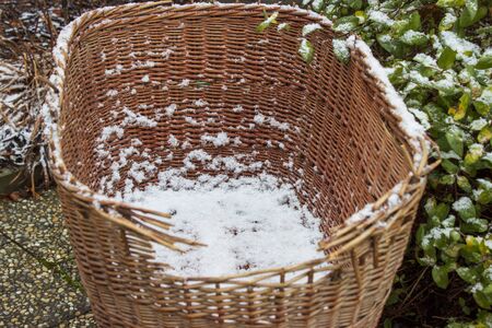 baby basket on wheels