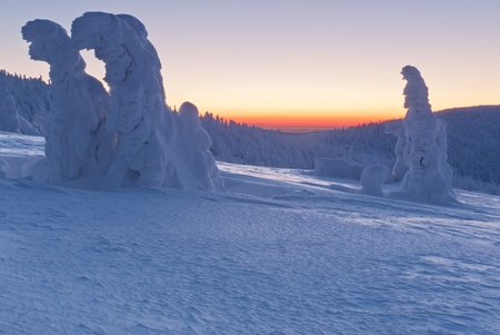 ワンダーランド日出町店 ワンダーランド