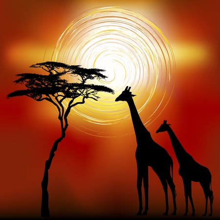 Sunset landscape vector: Hệ thực vật và động vật phong cảnh châu Phi trong thời gian hoàng hôn với hươu cao cổ Vector