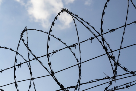 Barbed Wire Fence Prison Barbed Wire Fence Prison