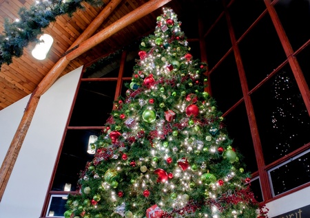 This Dramatic Image Is Of A Very Large Indoor Christmas Tree Stock Photo Picture And Royalty Free 10836184 This Dramatic Image Is Of A Very Large Indoor Christmas Tree Stock Photo Picture And Royalty Free 10836184