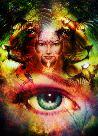 背景を飾り絵画強大なライオンと虎の頭と鳥を持つ神秘的な女性 コンピューターのコラージュ 横顔の肖像画 眼との接触 の写真素材 画像素材 Image