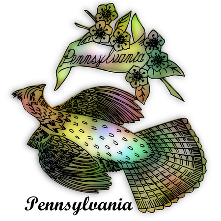 pennsylvania state bird stock photo picture and royalty free image