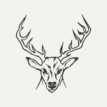 illustration of deer. Black and white style