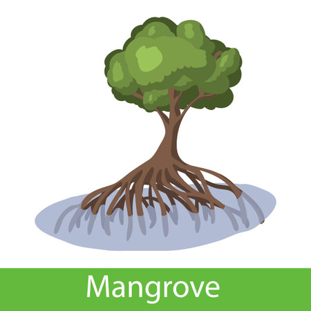 Mangrove cartoon tree. single illustration on a white background