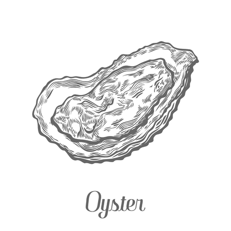 閉じた牡蠣魚介類海洋動物は ベクトル図をスケッチします 貝ホタテ手描きが刻まれたインクの漫画イラストをエッチングします 海洋食品 ヘルシーなシーフード オーガニック製品です 白地に黒 のイラスト素材 ベクタ Image