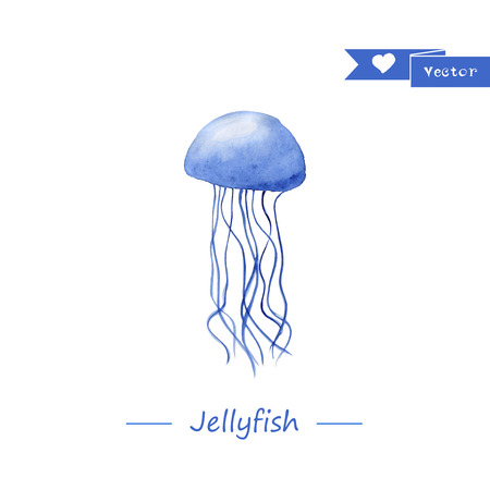 水彩のイルカ 手描きのリアルなイルカのイラスト の写真素材 画像素材 Image 水彩のイルカ 手描きのリアルなイルカのイラスト の写真素材 画像素材 Image