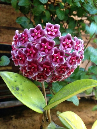 รูปภาพที่เกี่ยวข้อง