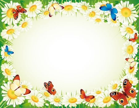 Vector illustration - frame whis butterfly and flowers