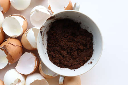 Marc de café et coquilles d'œufs utilisés pour le compost organique pour les plantes. vue de dessus.