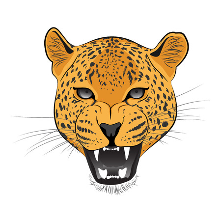 Leopard Face Cliparts, Stock Vector and Royalty Free Leopard Face ...