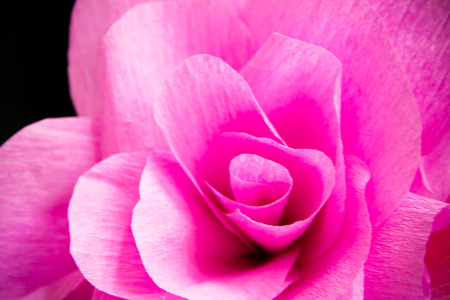リサイクルのクレープ紙製の紙の花 の写真素材 画像素材 Image リサイクルのクレープ紙製の紙の花 の写真素材 画像素材 Image