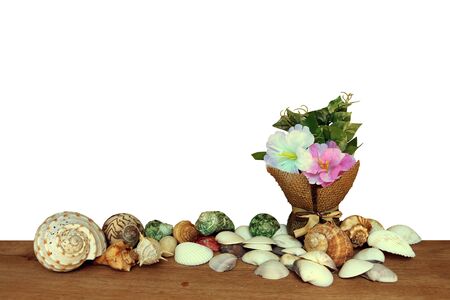 Flower Vase And Pile Of Seashell Isolated White Background