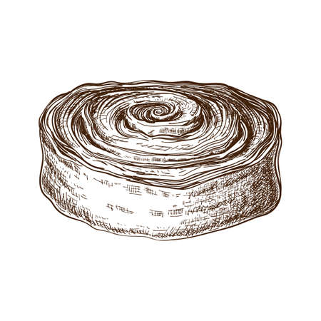 Hand drawn sweet bun or roll with cinnamon or filled with poppy seeds. pastry sketch. vector illustration of danish or swedish dessert. poppy bun for breakfast. cinnamon or cocoa snail, tasty swirls