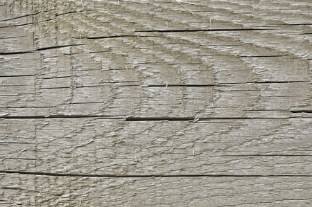 自然風化灰色タン ベージュ木の板 ひびの入った廃墟ラフカット セピア色のウッド テクスチャ 大規模な詳細な古い歳以上の灰色の背景は木材垂直マクロ クローズ アップ 質感のひび割れパターン の写真素材 画像素材 Image 自然風化灰色タン ベージュ木の板 ひびの入った廃墟ラフカット セピア色のウッド テクスチャ 大規模な詳細な古い歳以上の灰色の背景は木材垂直マクロ クローズ アップ 質感のひび割れパターン の写真素材 画像素材 Image