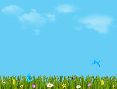 青い曇った空の背景に緑の草 鮮やかな花と蝶と美しい草原のフィールドとカラフルなイラストのイラスト素材 ベクタ Image