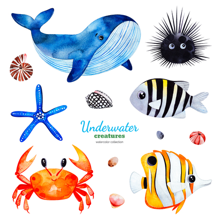 Underwater creatures.Watercolor collection with multicolored coral fishes.shells, crab, whale, starfish, urchin etc. Perfect for invitations, party decorations, printable, craft project, greeting cards, sticker