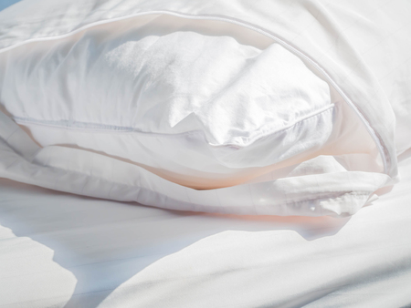 Using Zippered Dust Mites Pillow Covers Is The Easiest And Fastest Enchanting Dust Mite Pillow Cover Using Zippered Dust Mites Pillow Covers Is The Easiest And Fastest Enchanting Dust Mite Pillow Cover