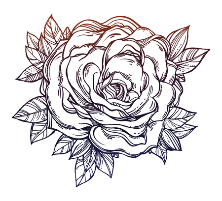 Vintage Detailed Hand Drawn Rose And Leaves Royalty Free Cliparts
