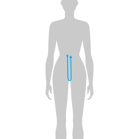 291 股 のイラスト素材 ベクター 123rf 291 股 のイラスト素材 ベクター 123rf