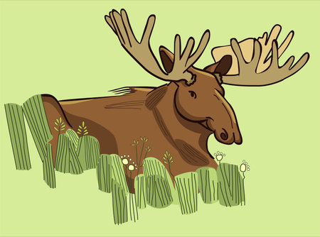 brown moose in green grass clip art preview