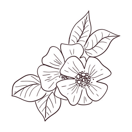 Outline Colouring Stock Vector Illustration And Royalty Free Outline Colouring Clipart Outline Colouring Stock Vector Illustration And Royalty Free Outline Colouring Clipart