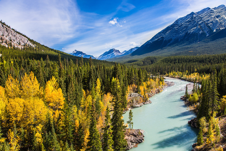 アブラハム湖はロッキー山脈で最も美しい湖です 鬱蒼とした森は 湖の湖畔をカバーします 秋で暖かい晴れた日 生態学的な観光事業の概念 の写真素材 画像素材 Image