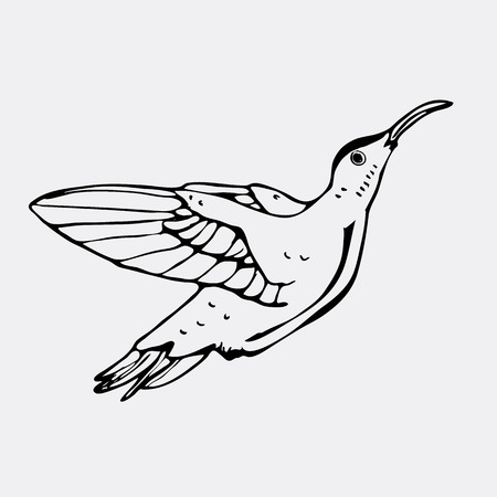 手描きの鉛筆のグラフィック 鳥 フラミンゴ 彫刻 ステンシル スタイルです ロゴ 記号 紋章 記号 スタンプ シールです シンプルなイラスト スケッチ のイラスト素材 ベクタ Image