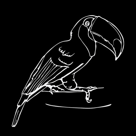 手描きの鉛筆のグラフィック 鳥 フラミンゴ 彫刻 ステンシル スタイルです ロゴ 記号 紋章 記号 スタンプ シールです シンプルなイラスト スケッチ のイラスト素材 ベクタ Image