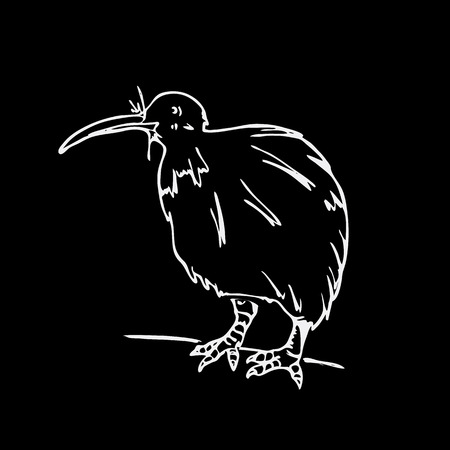 Graphiques Dessinés à La Main Oiseau Kiwi Gravure Style Pochoir Logo Noir Et Blanc Signe Emblème Symbole Timbre Sceau Illustration Simple