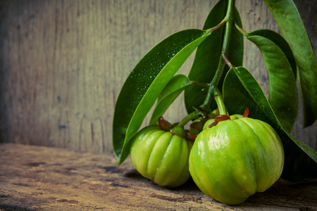 Still life garcinia atroviridis fresh fruit on old wood background thai herb and sour flavor lots of vitamin c low key picture style water drops on leafs extract as a weight loss product