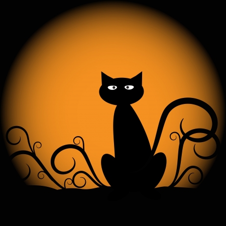 Halloween Cat - 10446790