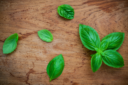 新鮮なスイートバジルの葉に孤立した白い背景 の写真素材 画像素材 Image 新鮮なスイートバジルの葉に孤立した白い背景 の写真素材 画像素材 Image