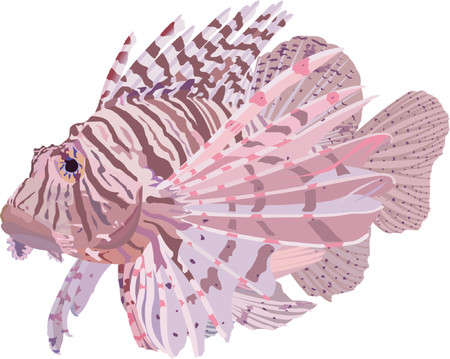 523258-lionfish.jpg