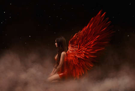 16 639 Diable Ange Imagenes Y Fotos 123rf