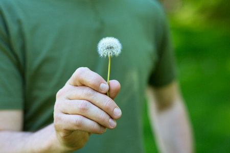 鮮やかな緑の芝生の背景の上のタンポポの花 白いタンポポを爆破する準備ができてを抱きかかえた 自然公園屋外に対して人間の手で夏のタンポポ の写真素材 画像素材 Image 鮮やかな緑の芝生の背景の上のタンポポの花 白いタンポポを爆破する準備ができてを抱きかかえた 自然公園屋外に対して人間の手で夏のタンポポ の写真素材 画像素材 Image