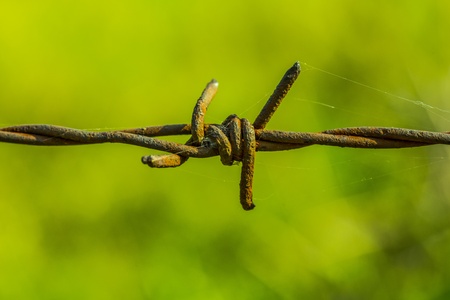 barbed wire fence - 32346091