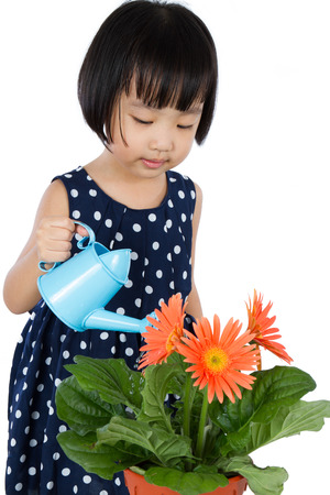 Asian Little Chinese Girl Watering Flower isolated on White Background