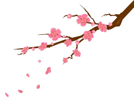 Peach flower: Màu hồng đào hoa minh họa